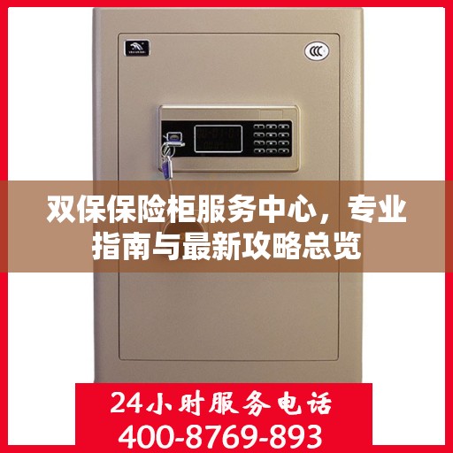 双保保险柜服务中心，专业指南与最新攻略总览