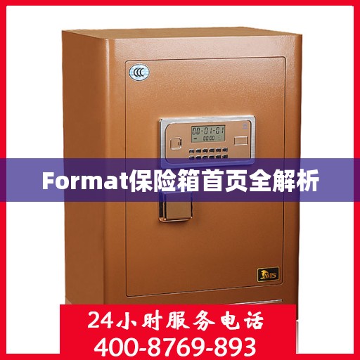 Format保险箱首页全解析