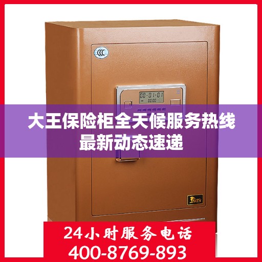 大王保险柜全天候服务热线最新动态速递