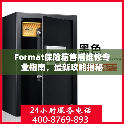 Format保险箱售后维修专业指南，最新攻略揭秘