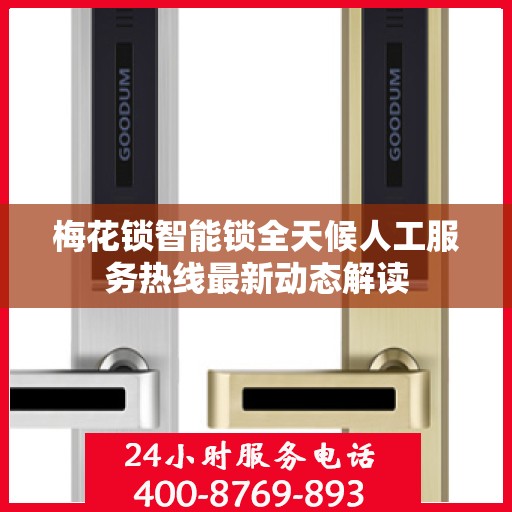 梅花锁智能锁全天候人工服务热线最新动态解读