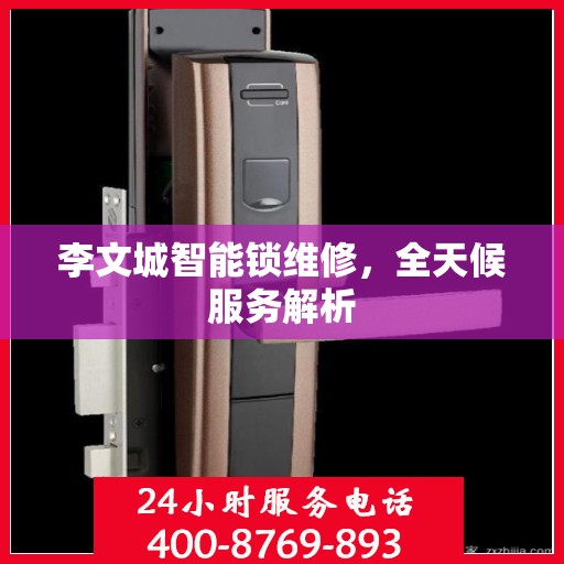 李文城智能锁维修，全天候服务解析