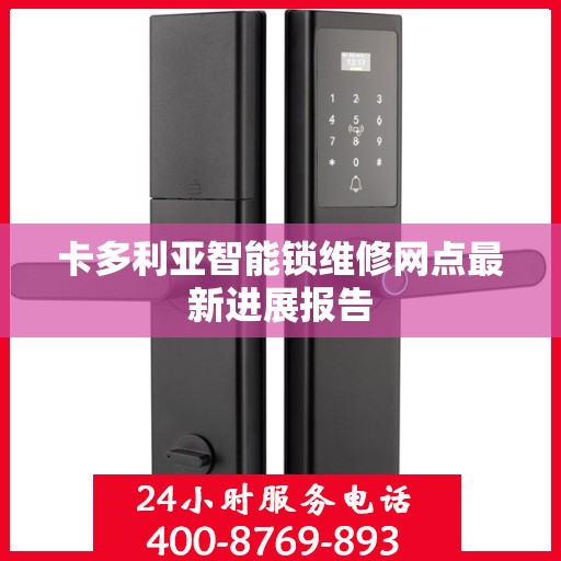 卡多利亚智能锁维修网点最新进展报告