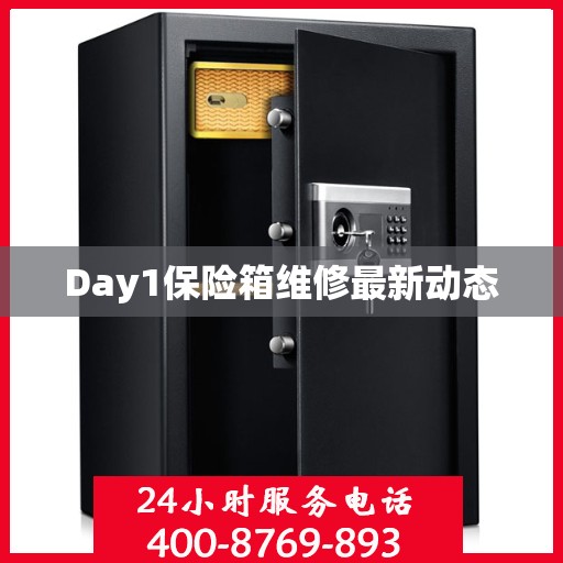 Day1保险箱维修最新动态