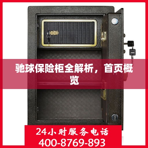 驰球保险柜全解析，首页概览
