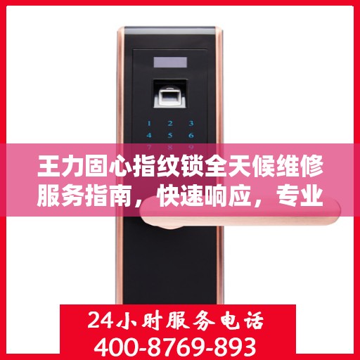 王力固心指纹锁全天候维修服务指南，快速响应，专业保障