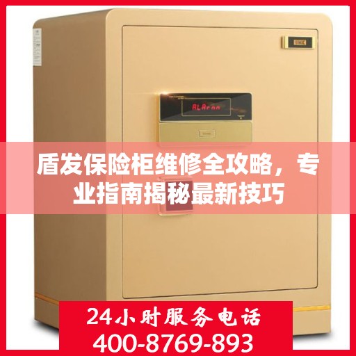 盾发保险柜维修全攻略，专业指南揭秘最新技巧