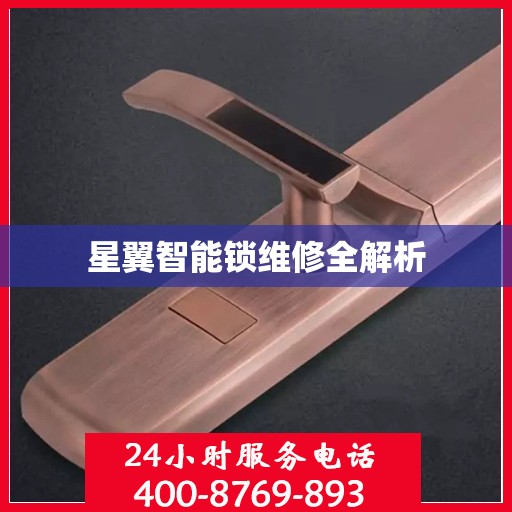 星翼智能锁维修全解析