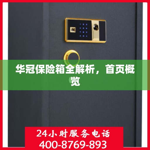 华冠保险箱全解析，首页概览