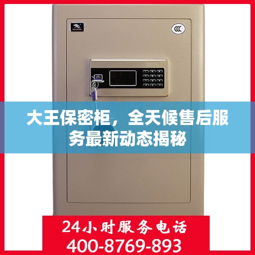 大王保密柜，全天候售后服务最新动态揭秘