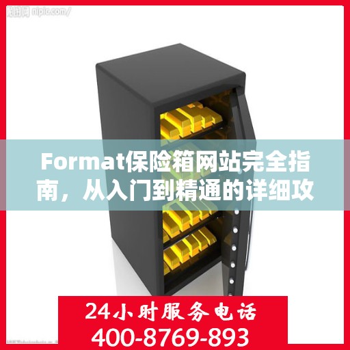 Format保险箱网站完全指南，从入门到精通的详细攻略