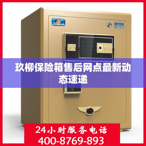 玖柳保险箱售后网点最新动态速递