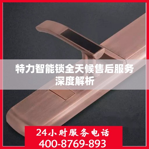 特力智能锁全天候售后服务深度解析