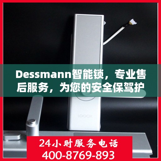 Dessmann智能锁，专业售后服务，为您的安全保驾护航