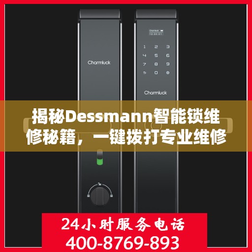 揭秘Dessmann智能锁维修秘籍，一键拨打专业维修服务热线