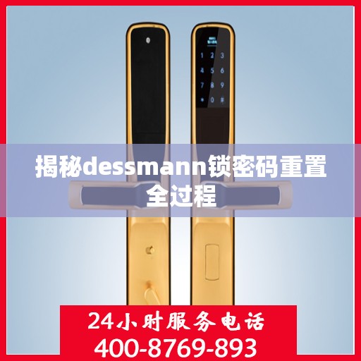 揭秘dessmann锁密码重置全过程