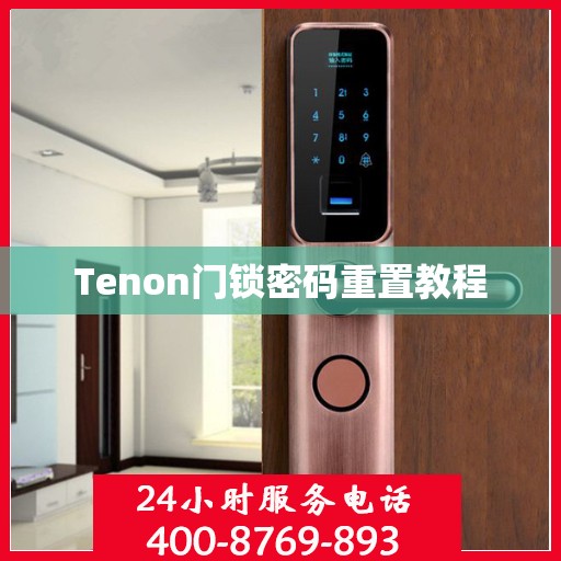Tenon门锁密码重置教程