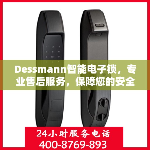 Dessmann智能电子锁，专业售后服务，保障您的安全之选