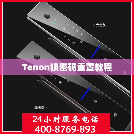 Tenon锁密码重置教程