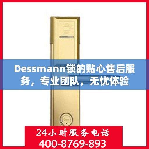 Dessmann锁的贴心售后服务，专业团队，无忧体验