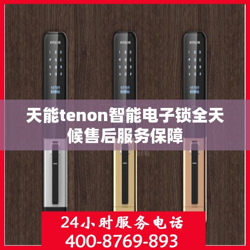 天能tenon智能电子锁全天候售后服务保障
