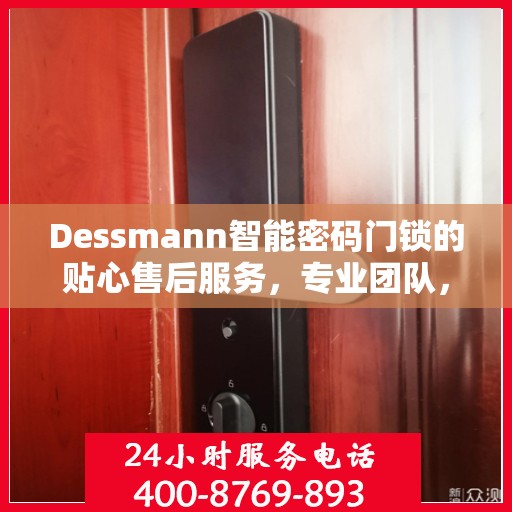 Dessmann智能密码门锁的贴心售后服务，专业团队，无忧体验