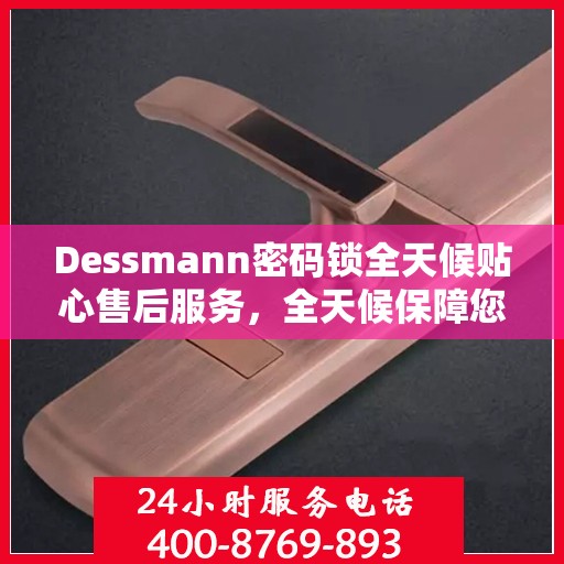 Dessmann密码锁全天候贴心售后服务，全天候保障您的安全！