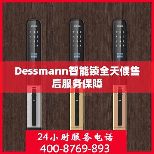 Dessmann智能锁全天候售后服务保障