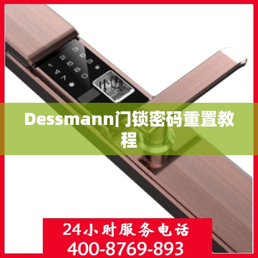 Dessmann门锁密码重置教程