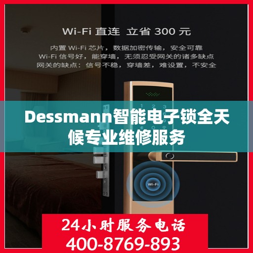 Dessmann智能电子锁全天候专业维修服务
