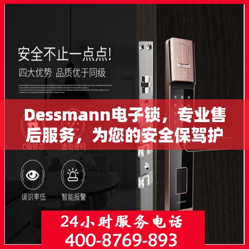 Dessmann电子锁，专业售后服务，为您的安全保驾护航