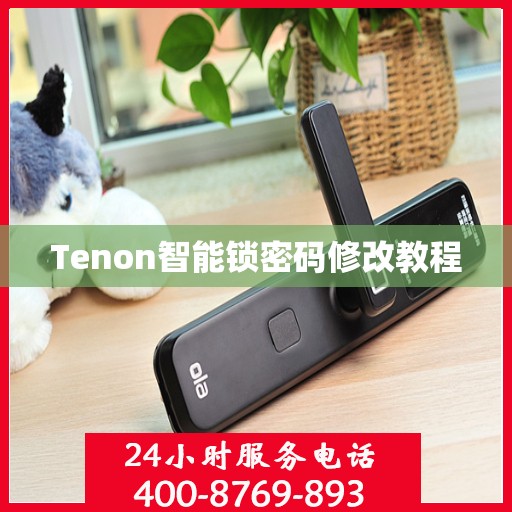 Tenon智能锁密码修改教程