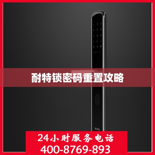 耐特锁密码重置攻略