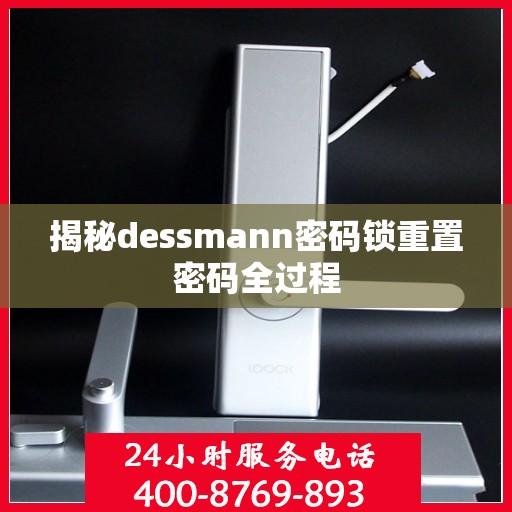 揭秘dessmann密码锁重置密码全过程