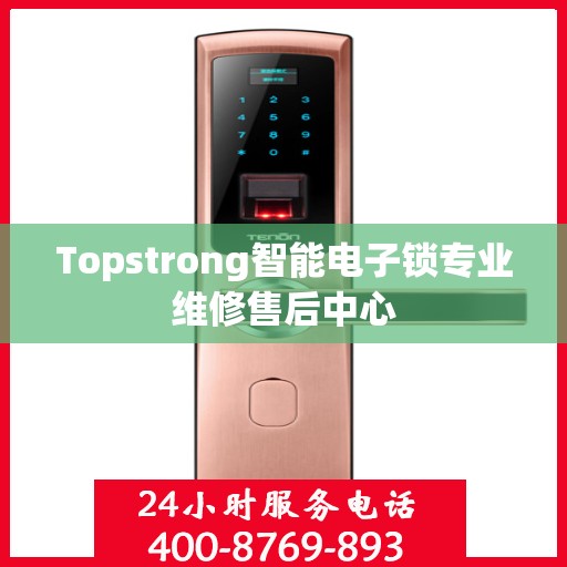 Topstrong智能电子锁专业维修售后中心