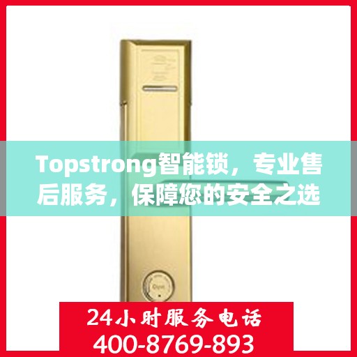 Topstrong智能锁，专业售后服务，保障您的安全之选