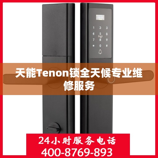 天能Tenon锁全天候专业维修服务