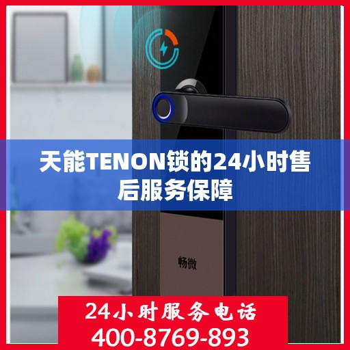 天能TENON锁的24小时售后服务保障
