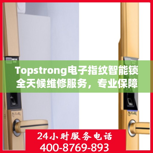 Topstrong电子指纹智能锁全天候维修服务，专业保障，安全无忧