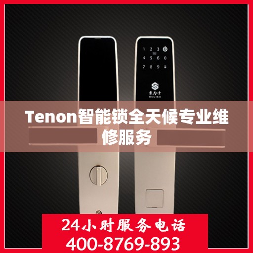 Tenon智能锁全天候专业维修服务