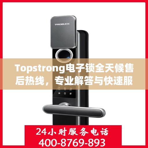 Topstrong电子锁全天候售后热线，专业解答与快速服务保障