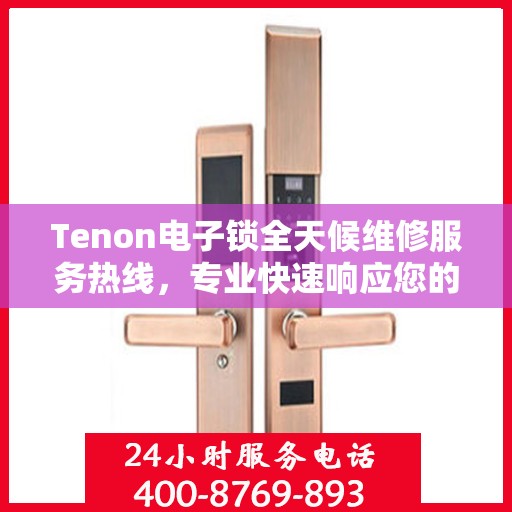 Tenon电子锁全天候维修服务热线，专业快速响应您的需求