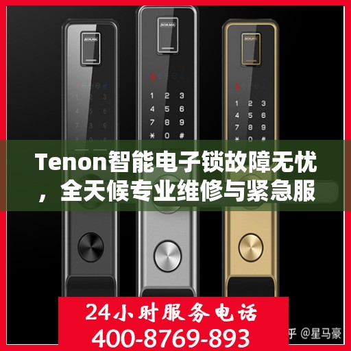 Tenon智能电子锁故障无忧，全天候专业维修与紧急服务热线